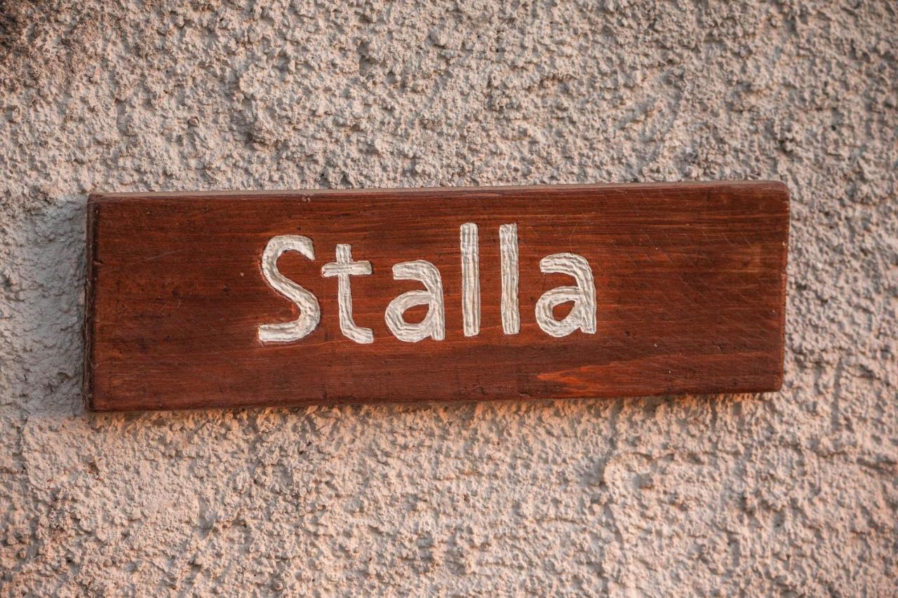 B&B La Mortella Albanella Eksteriør billede
